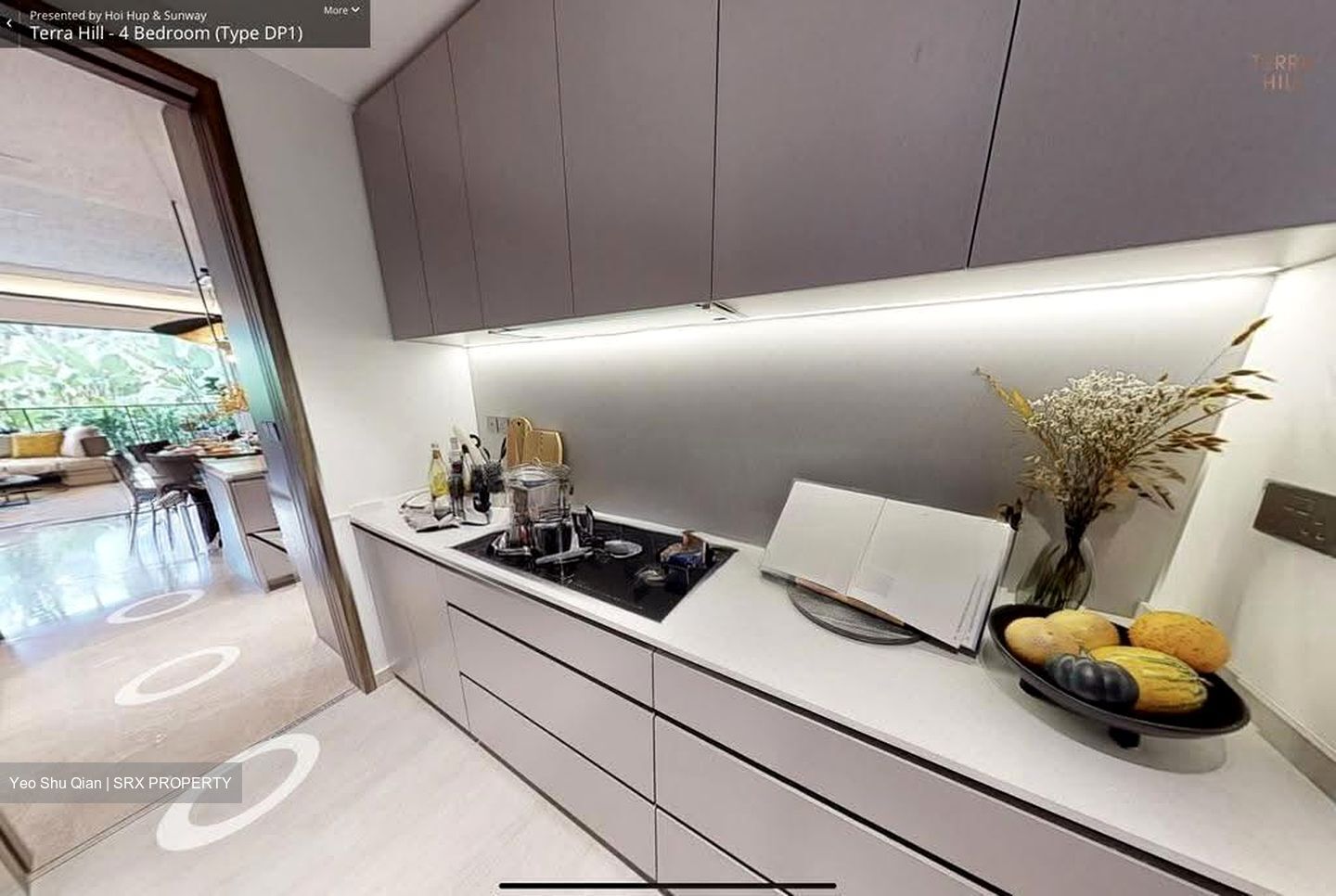 Terra Hill (D5), Apartment #629299051